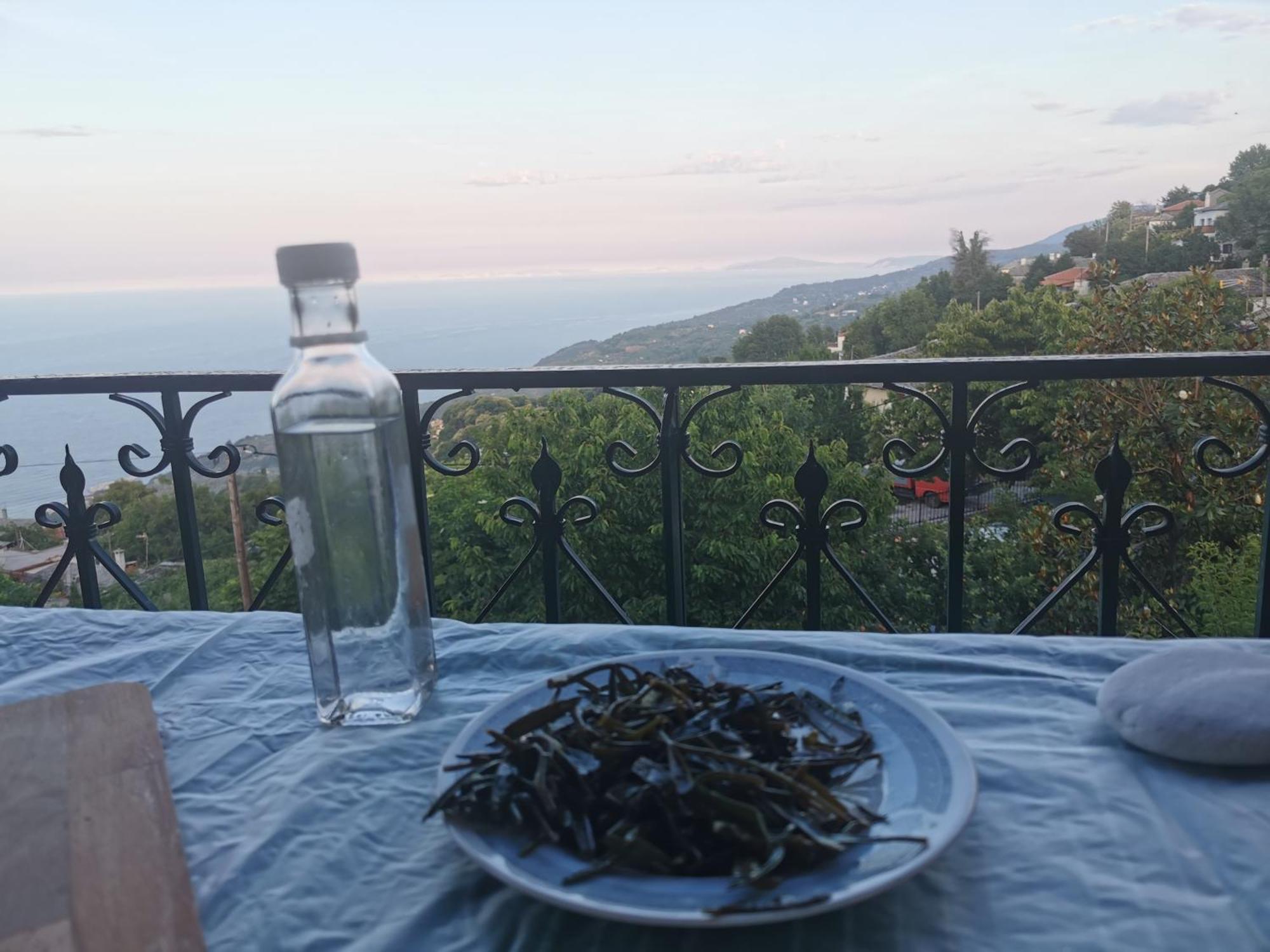 Guest House Pafili Zagorá Kültér fotó